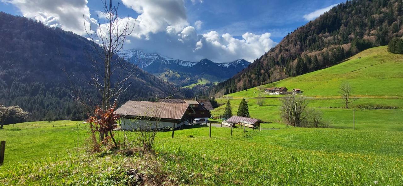Fewo Allgaeuliebe Mit Wlan Oberstaufen Steibis 외부 사진